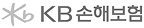 KB손해보험